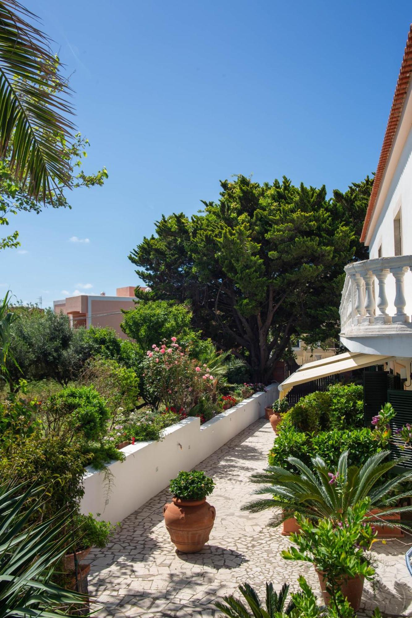 Casa Di Arturo *