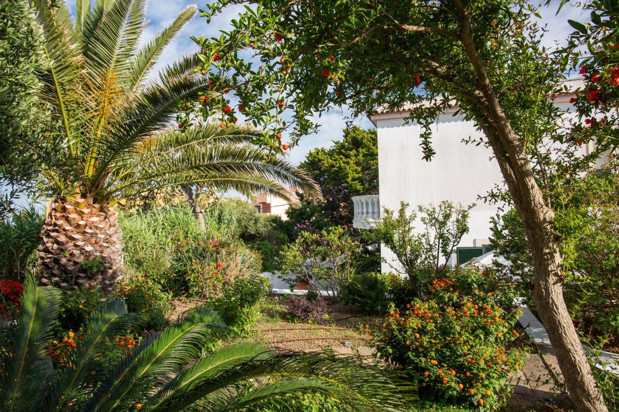 Casa Di Arturo Ventotene